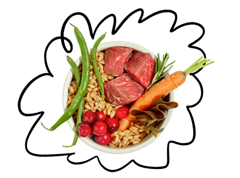 A dog bowl filled with various fresh meats, fruits, veggies, and grains